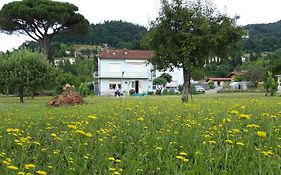 Affittacamere La Foresta Di Sopra