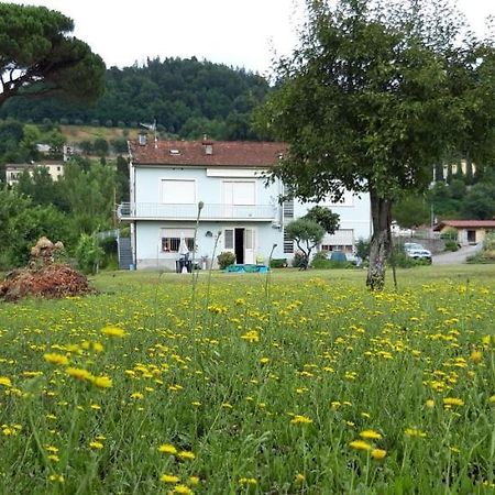 Affittacamere La Foresta Di Sopra Barga Exterior photo